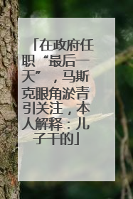 在政府任职“最后一天”，马斯克眼角淤青引关注，本人解释：儿子干的