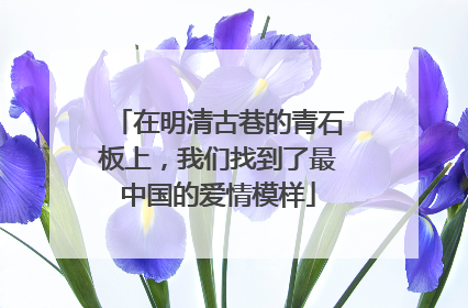 在明清古巷的青石板上，我们找到了最中国的爱情模样
