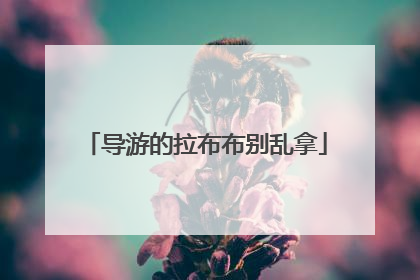导游的拉布布别乱拿