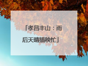 孝昌丰山：雨后天晴插秧忙