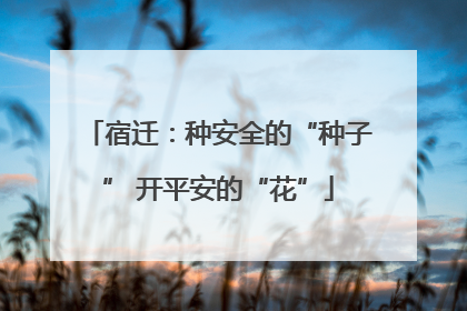 宿迁：种安全的“种子” 开平安的“花”