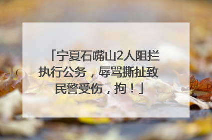 宁夏石嘴山2人阻拦执行公务，辱骂撕扯致民警受伤，拘！