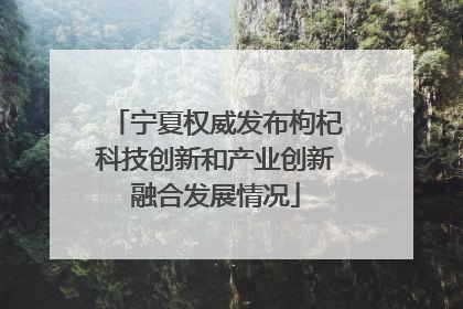 宁夏权威发布枸杞科技创新和产业创新融合发展情况