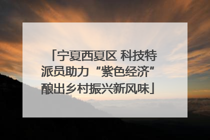 宁夏西夏区 科技特派员助力“紫色经济”酿出乡村振兴新风味