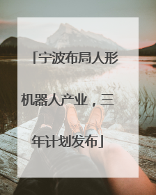 宁波布局人形机器人产业，三年计划发布