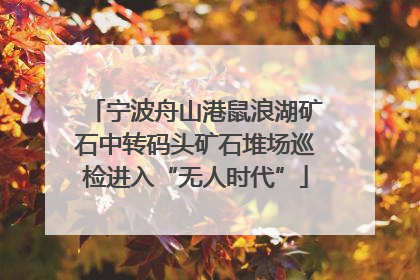 宁波舟山港鼠浪湖矿石中转码头矿石堆场巡检进入“无人时代”