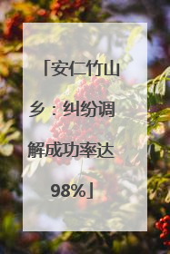 安仁竹山乡：纠纷调解成功率达98%