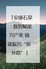安康石泉：数智赋能兴产业 铺就振兴“新丝路”