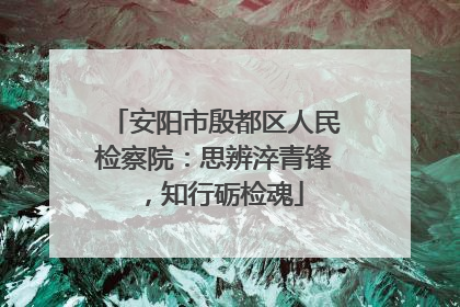 安阳市殷都区人民检察院：思辨淬青锋，知行砺检魂