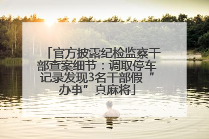 官方披露纪检监察干部查案细节：调取停车记录发现3名干部假“办事”真麻将