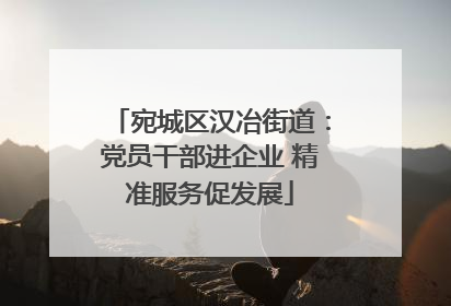 宛城区汉冶街道：党员干部进企业 精准服务促发展