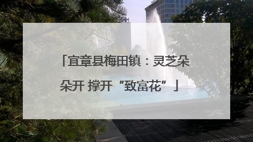 宜章县梅田镇：灵芝朵朵开 撑开“致富花”