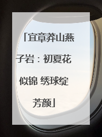 宜章莽山燕子岩：初夏花似锦 绣球绽芳颜