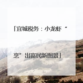 宜城税务：小龙虾“烹”出富民新图景