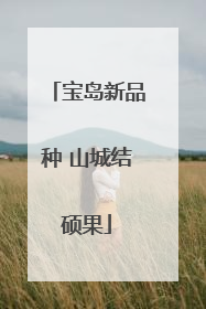 宝岛新品种 山城结硕果