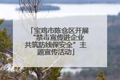 宝鸡市陈仓区开展“禁毒宣传进企业 共筑防线保安全”主题宣传活动