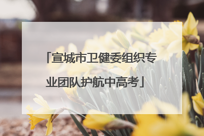 宣城市卫健委组织专业团队护航中高考