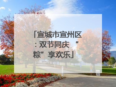 宣城市宣州区：双节同庆 “粽”享欢乐
