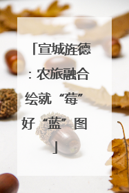 宣城旌德：农旅融合绘就“莓”好“蓝”图
