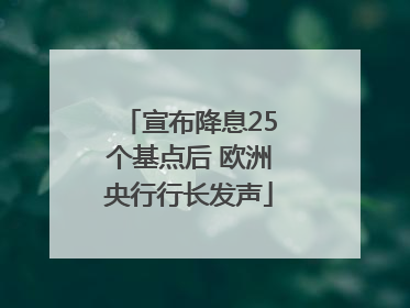 宣布降息25个基点后 欧洲央行行长发声