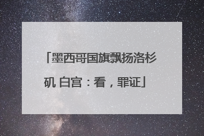 墨西哥国旗飘扬洛杉矶 白宫：看，罪证