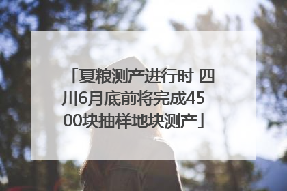 夏粮测产进行时 四川6月底前将完成4500块抽样地块测产