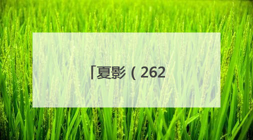 夏影（262）｜上游主题摄影征稿作品展——黄红专作品