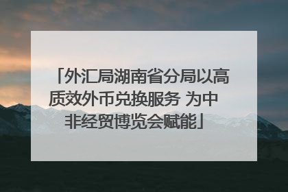 外汇局湖南省分局以高质效外币兑换服务 为中非经贸博览会赋能