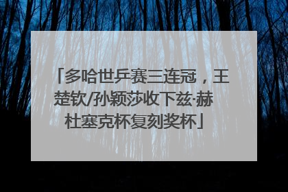多哈世乒赛三连冠，王楚钦/孙颖莎收下兹·赫杜塞克杯复刻奖杯