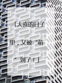 大喜的日子里，又被“萌”到了！