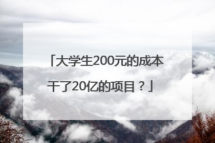 大学生200元的成本干了20亿的项目？