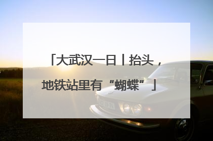 大武汉一日丨抬头，地铁站里有“蝴蝶”