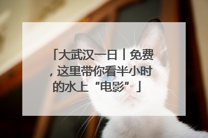 大武汉一日︱免费，这里带你看半小时的水上“电影”