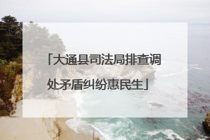 大通县司法局排查调处矛盾纠纷惠民生