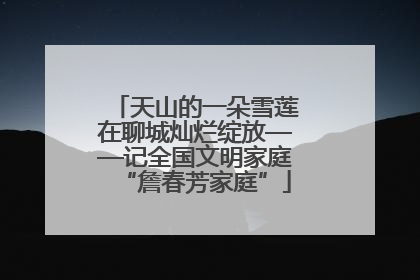 天山的一朵雪莲在聊城灿烂绽放——记全国文明家庭“詹春芳家庭”