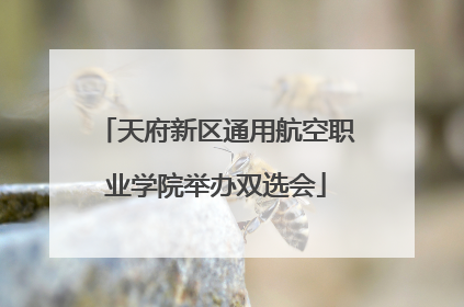 天府新区通用航空职业学院举办双选会