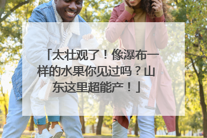 太壮观了！像瀑布一样的水果你见过吗？山东这里超能产！