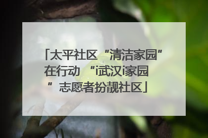 太平社区“清洁家园”在行动 “i武汉i家园”志愿者扮靓社区