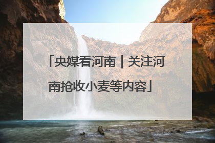 央媒看河南｜关注河南抢收小麦等内容