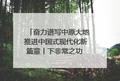 奋力谱写中原大地推进中国式现代化新篇章丨下非常之功 战非常“三夏”