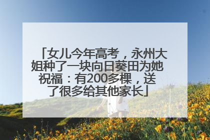 女儿今年高考，永州大姐种了一块向日葵田为她祝福：有200多棵，送了很多给其他家长