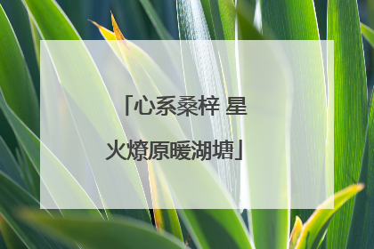 心系桑梓 星火燎原暖湖塘