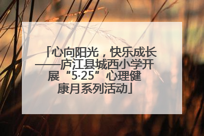 心向阳光，快乐成长——庐江县城西小学开展“5·25”心理健康月系列活动
