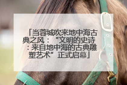 当蓉城吹来地中海古典之风：“文明的史诗：来自地中海的古典雕塑艺术”正式启幕