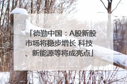 德勤中国：A股新股市场将稳步增长 科技、新能源等将成亮点