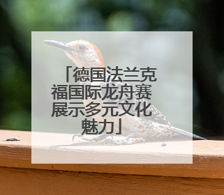 德国法兰克福国际龙舟赛展示多元文化魅力