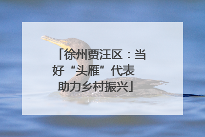 徐州贾汪区：当好“头雁”代表 助力乡村振兴