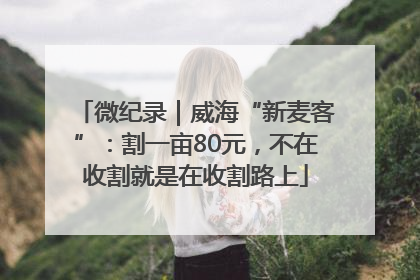 微纪录｜威海“新麦客”：割一亩80元，不在收割就是在收割路上