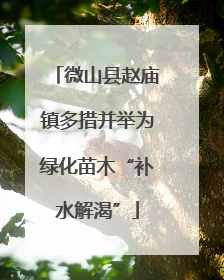 微山县赵庙镇多措并举为绿化苗木“补水解渴”