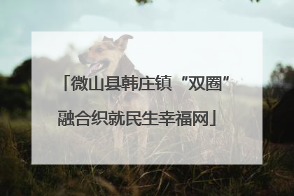 微山县韩庄镇“双圈”融合织就民生幸福网